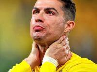 法国杯清晨再迎强敌，本菲卡遗憾出局，主帅态度——话题不断，数据趋势出现新变化的简单介绍-WM体育平台